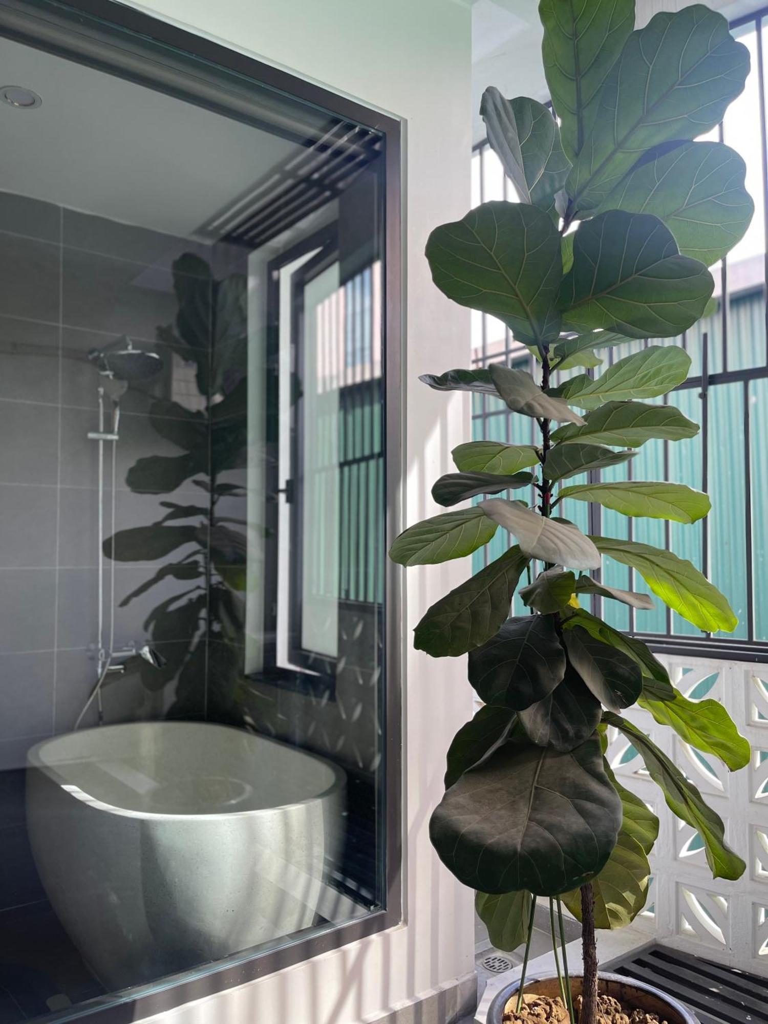 Alala Homestay- Tuyen Quang City Center- Trung Tam Thanh Pho Tuyen Quang Exteriér fotografie